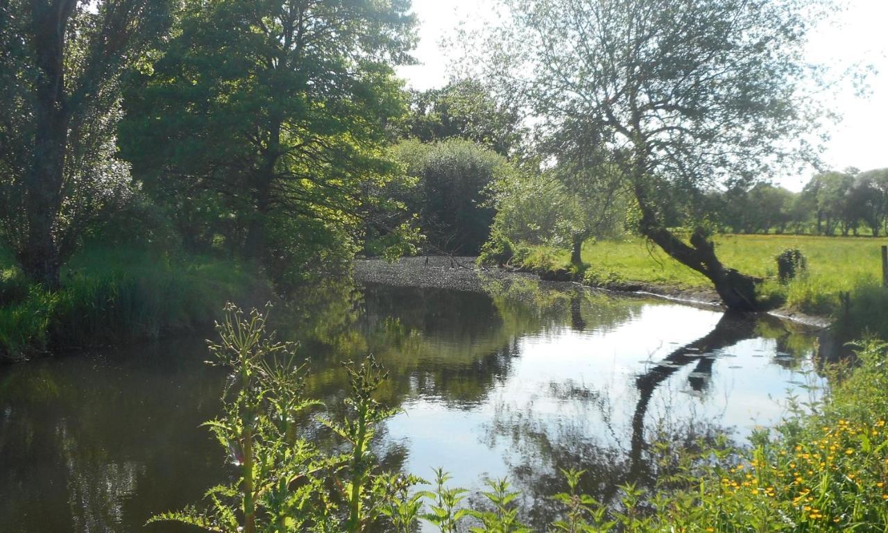 Riverview Bohal Kültér fotó